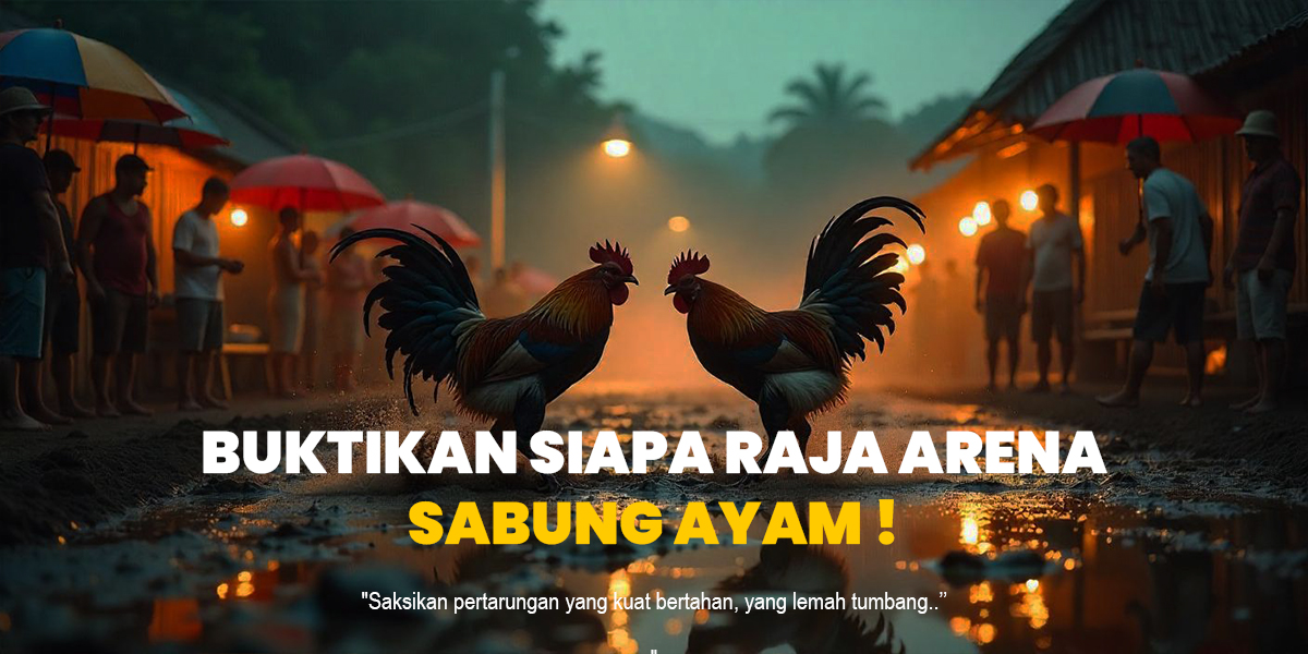 Mengenal Sabung Ayam: Tradisi, Teknik, dan Aturan dalam Pertarungan Ayam