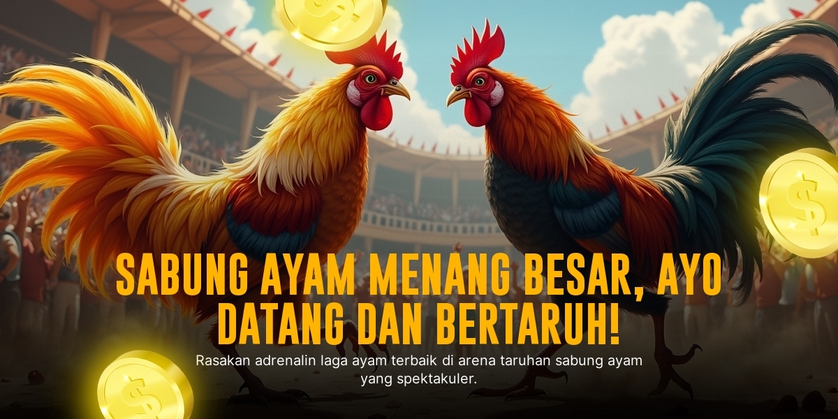 Mengenal Ayam Bangkok: Raja Sabung Ayam dengan Odds Menjanjikan dari SV388